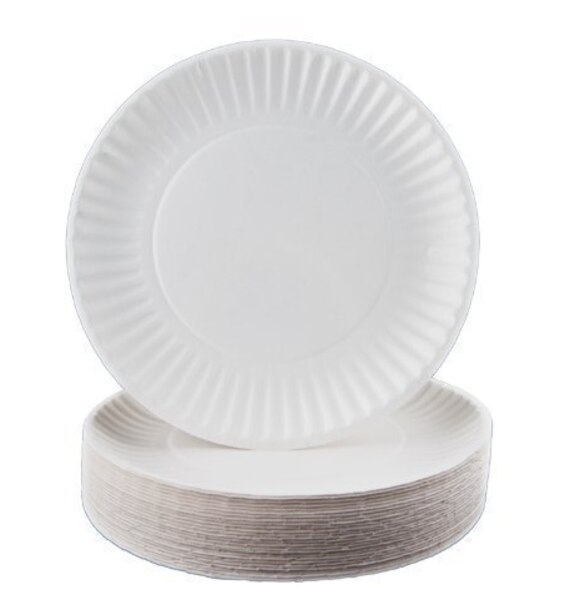 9" Uncoated Paper Plate (1200 pcs)